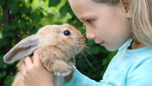 Zooterapia con conejos