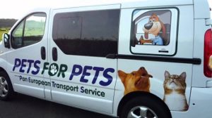Lee más sobre el artículo Recomendaciones para el transporte de mascotas en la ciudad