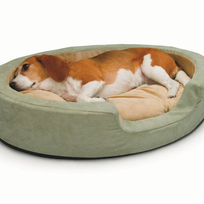 En este momento estás viendo ¿Consejos para elegir una cama para perros?